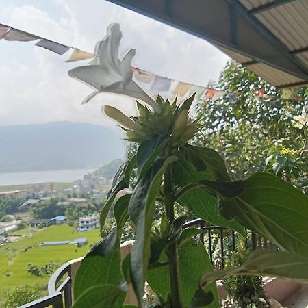 Gautam Garden Guest House Ποκάρα Εξωτερικό φωτογραφία