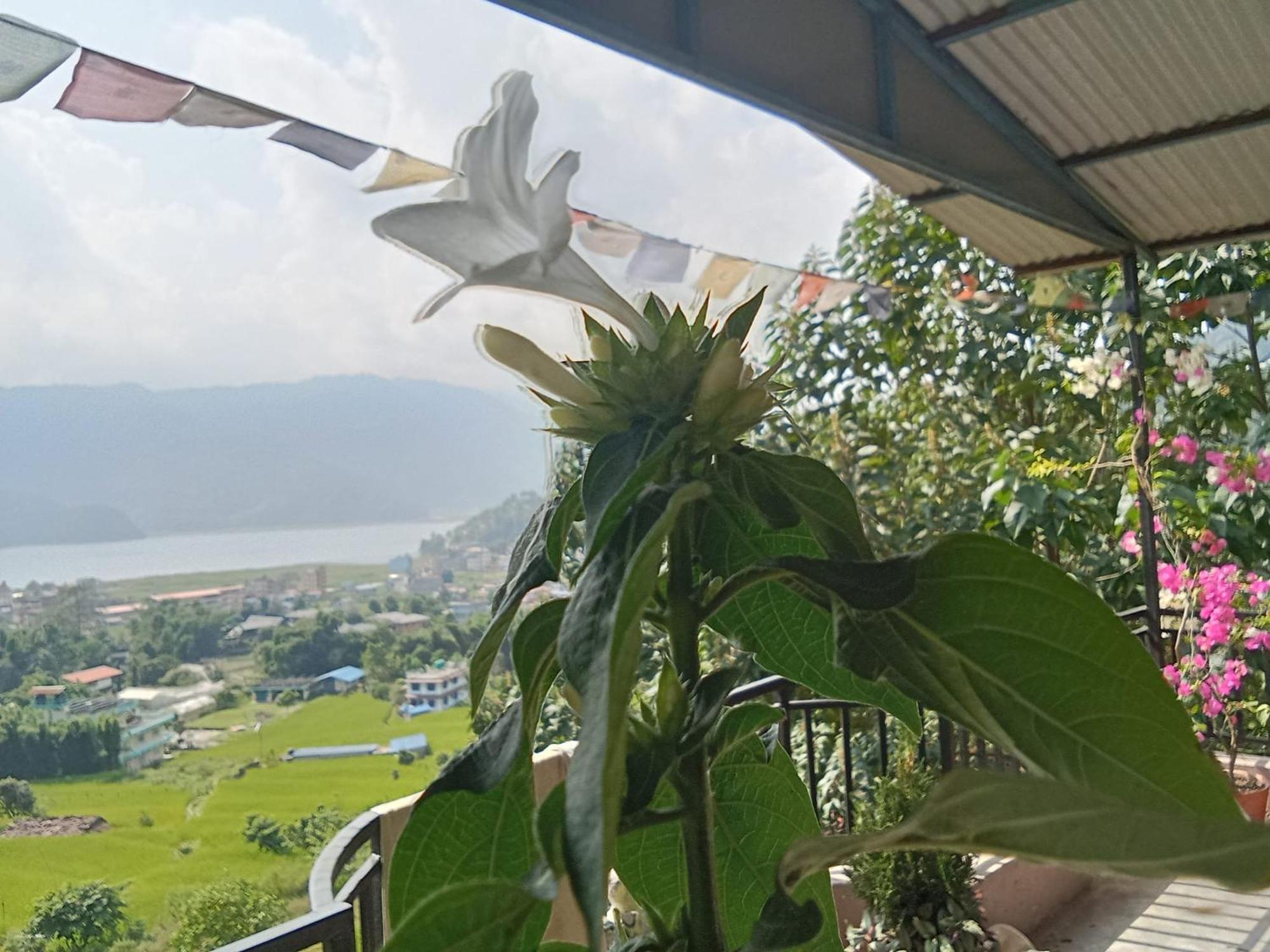 Gautam Garden Guest House Ποκάρα Εξωτερικό φωτογραφία